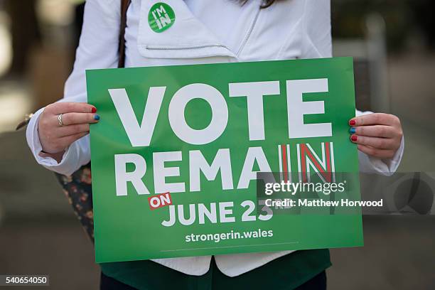 Vote Remain supporter holds a sign as Plaid Cymru Leader Leanne Wood and former First Minister of Scotland Alex Salmond MP attend a rally at the...