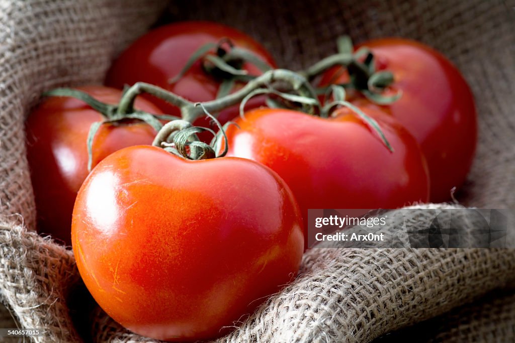 Fresh tomatoes on vine