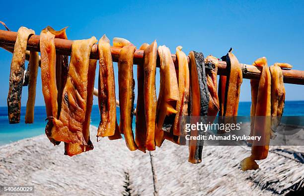 dried whale meat, lembata - lembata stock pictures, royalty-free photos & images