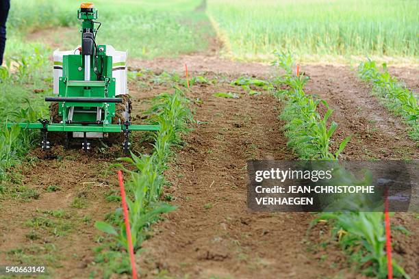Weeding robot is pictured during a demonstration of new technologies "Digifermes" at the Arvalis farm, an applied agricultural research organisation...