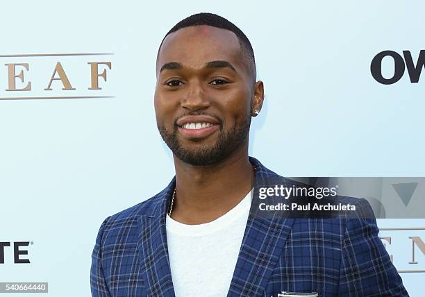 Actor Tye White attends the premiere of OWN's "Greenleaf" at The Lot on June 15, 2016 in West Hollywood, California.