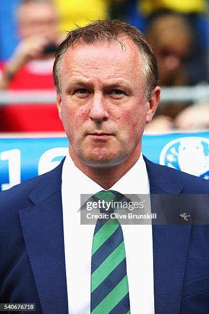 Michael O'Neill manager of Northern Ireland looks on prior to the UEFA EURO 2016 Group C match between Ukraine and Northern Ireland at Stade des...