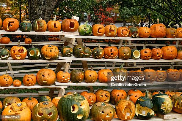 Pumpkin festival display.