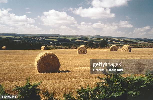 Auf einem abgeernteten Getreidefeld in der Bretagne liegen Strohballen. Im Hintergrund eine Hügellandschaft, der Himmel ist bewölkt. Undatiertes Foto.