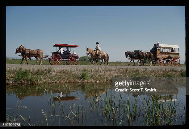 utah centennial wagon train - surrey wagons stock pictures, royalty-free photos & images