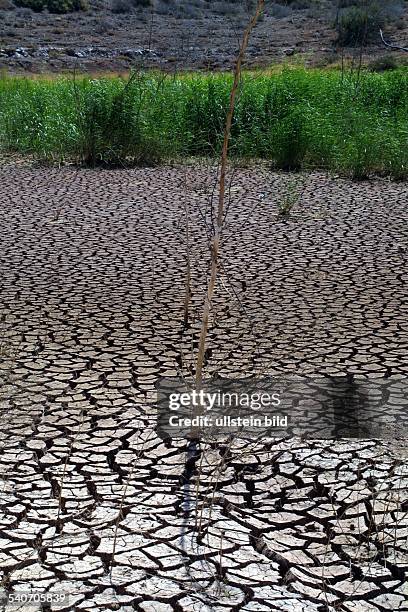 Trockenheit; Austrocknung; trockene Erde; fehlender Regen; Wassermangel; Gräser. .