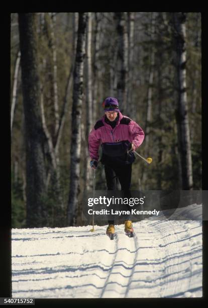 cross-country skier on trail - boundary waters canoe area stock-fotos und bilder