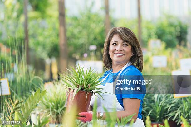 hispanic woman working in garden center - mature adult gardening stock pictures, royalty-free photos & images