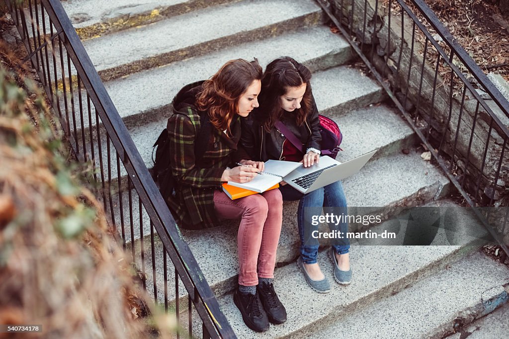 Teenage girls studying on the lap top - copyspace