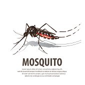 illustration vector. Target on mosquito.