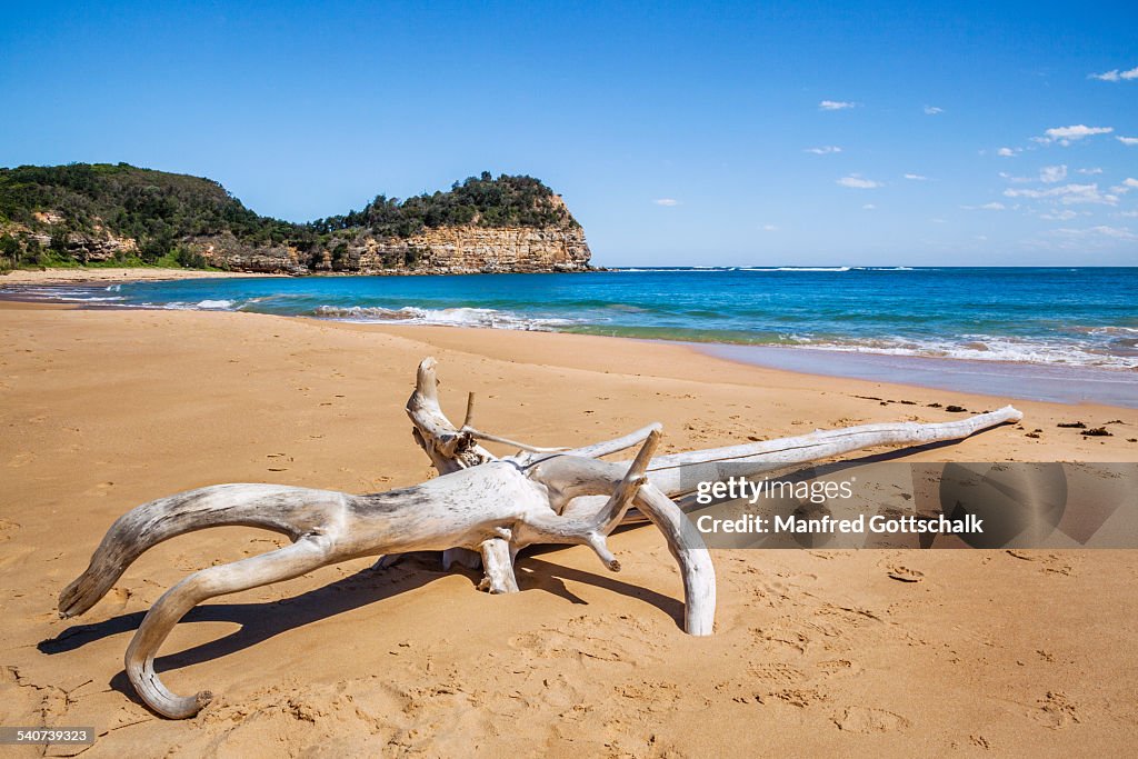 Maitland Bay Bouddi National Park