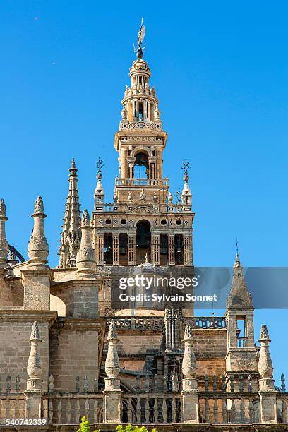 seville, la giralda, seville cathedral - la giralda stock pictures, royalty-free photos & images