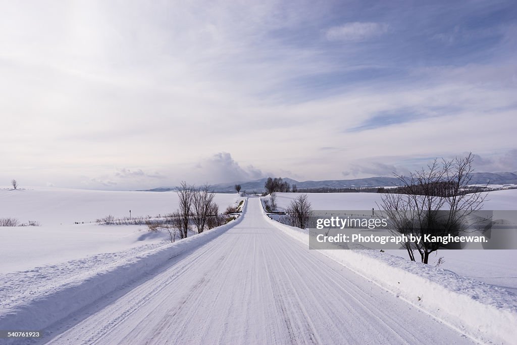 Winter Empty Road