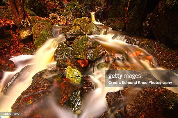 midstream in cataract gorge - launceston cataract gorge stock pictures, royalty-free photos & images