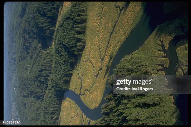 Aerial View of Bone River Estuary