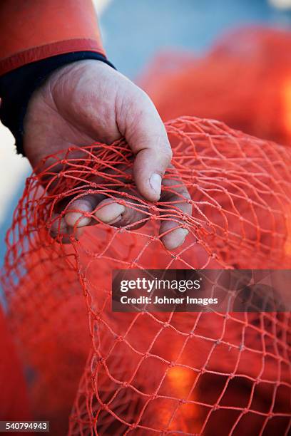 hand holding fishing net - grebbestad stockfoto's en -beelden