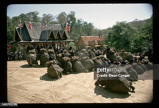 Dozen or so elephants and their trainers perform for a crowd during a visit by King Rama IX and the president of Austria. Mae Sa Falls Forest Park,...