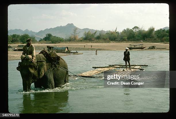 Elephants Pulling Raft With Logs to Sawmill