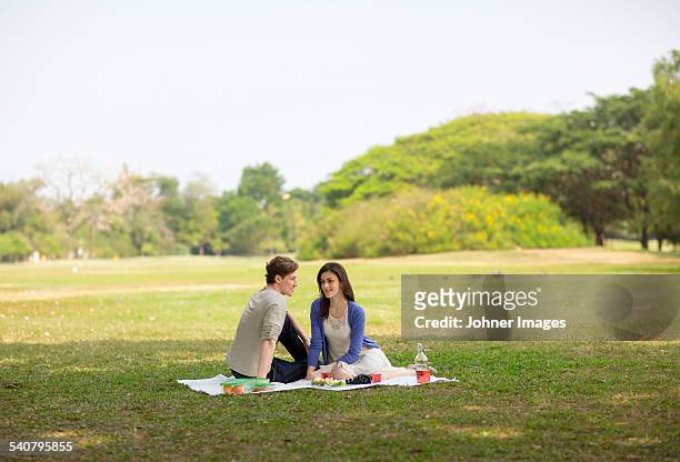 young couple having picnic - paar picknick stock-fotos und bilder