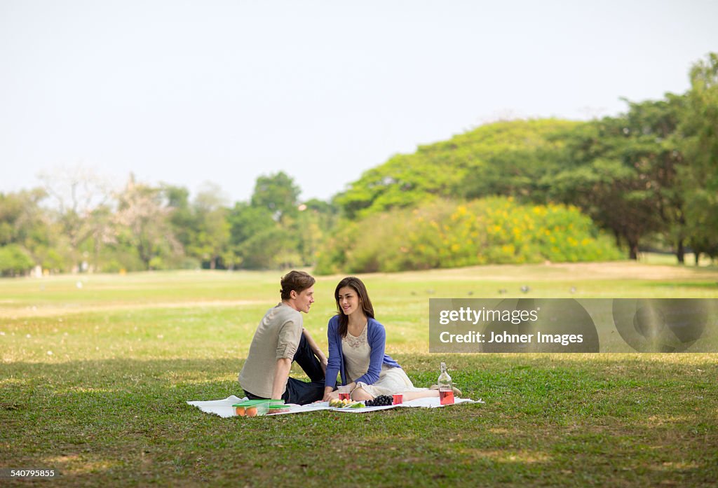 Young couple having picnic