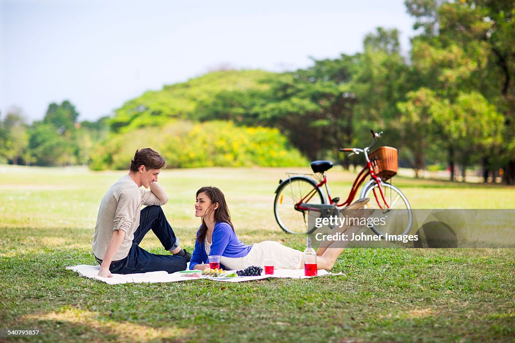 Young couple having picnic