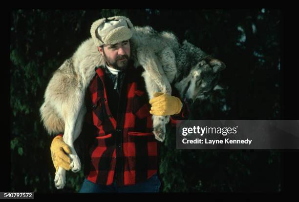 L. David Mech Photos and Premium High Res Pictures Getty Images