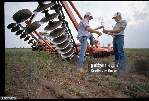 farmers examining crops - jim farmer stock pictures, royalty-free photos & images
