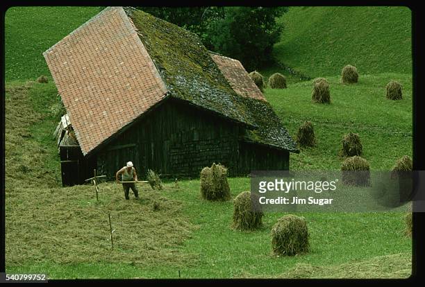 farmer raking dried grass - jim farmer stock pictures, royalty-free photos & images