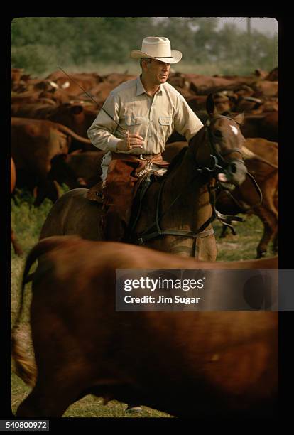 Armstrong Ranch Armstrong Ranch Photos and Premium High Res Pictures - Getty Images