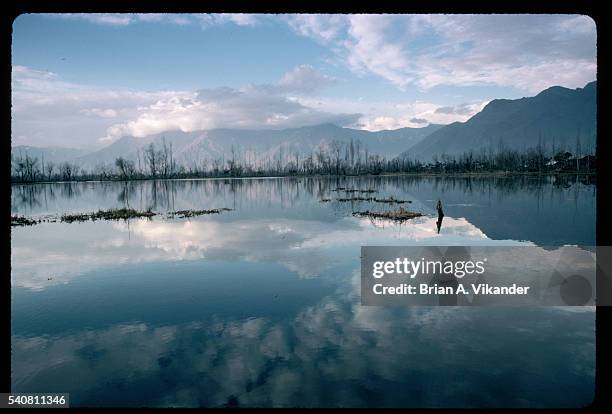 reflections on dal lake - dal lake 個照片及圖片檔