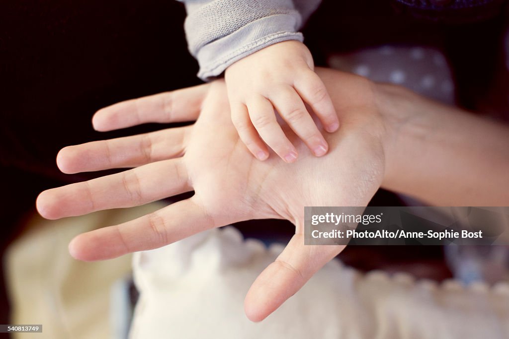 Babys hand touching adults hand