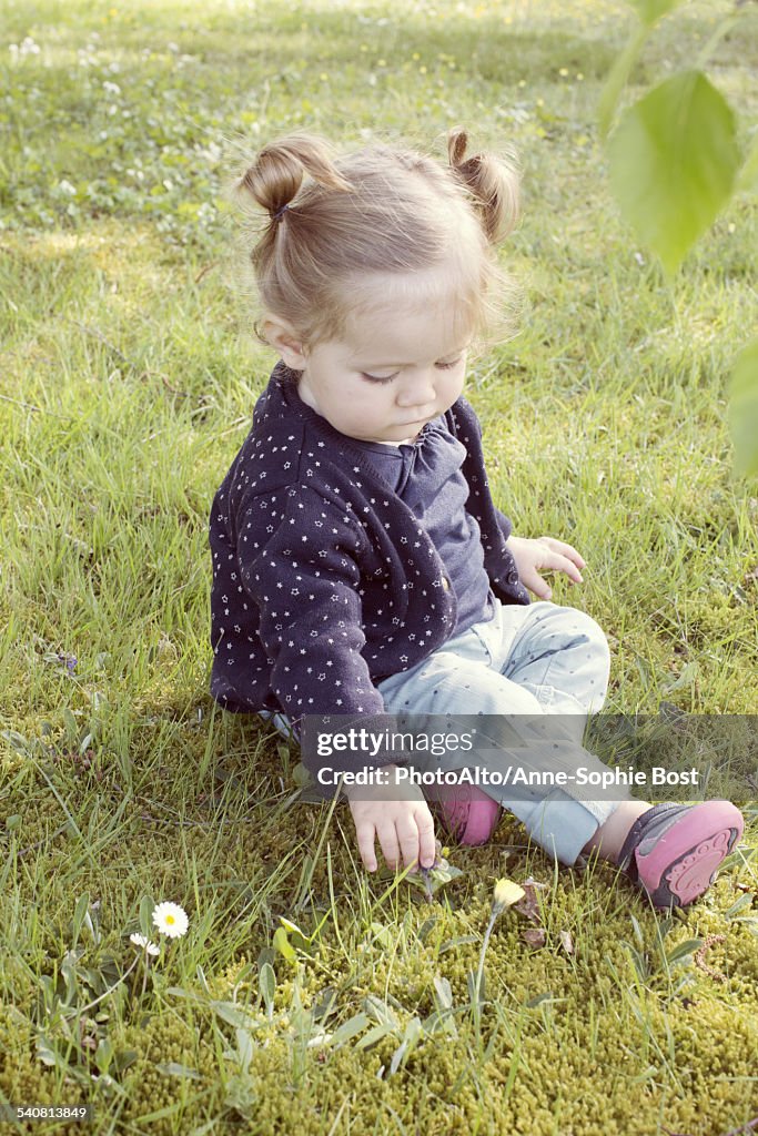 Baby girl sitting on grass, picking flower