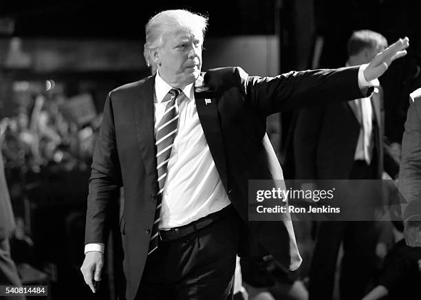 PRESIDENT DONALD TRUMP OFFICIAL PORTRAIT WITH NAME 8x10 SILVER HALIDE Photo PRESIDENT DONALD TRUMP OFFICIAL PORTRAIT WITH NAME 8x10 SILVER HALIDE Photo