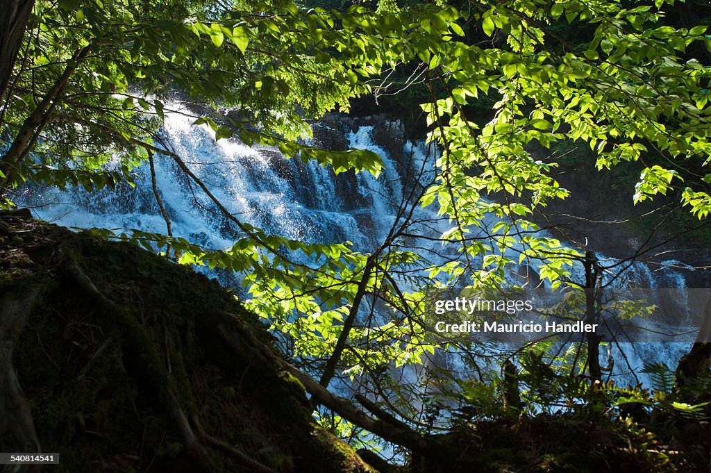 Houston Brook Falls viewed through leaves and tree branches.