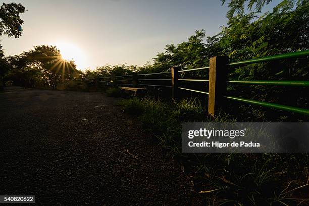 morning sunlight on a path through a trail in urca - amanhecer foto e immagini stock