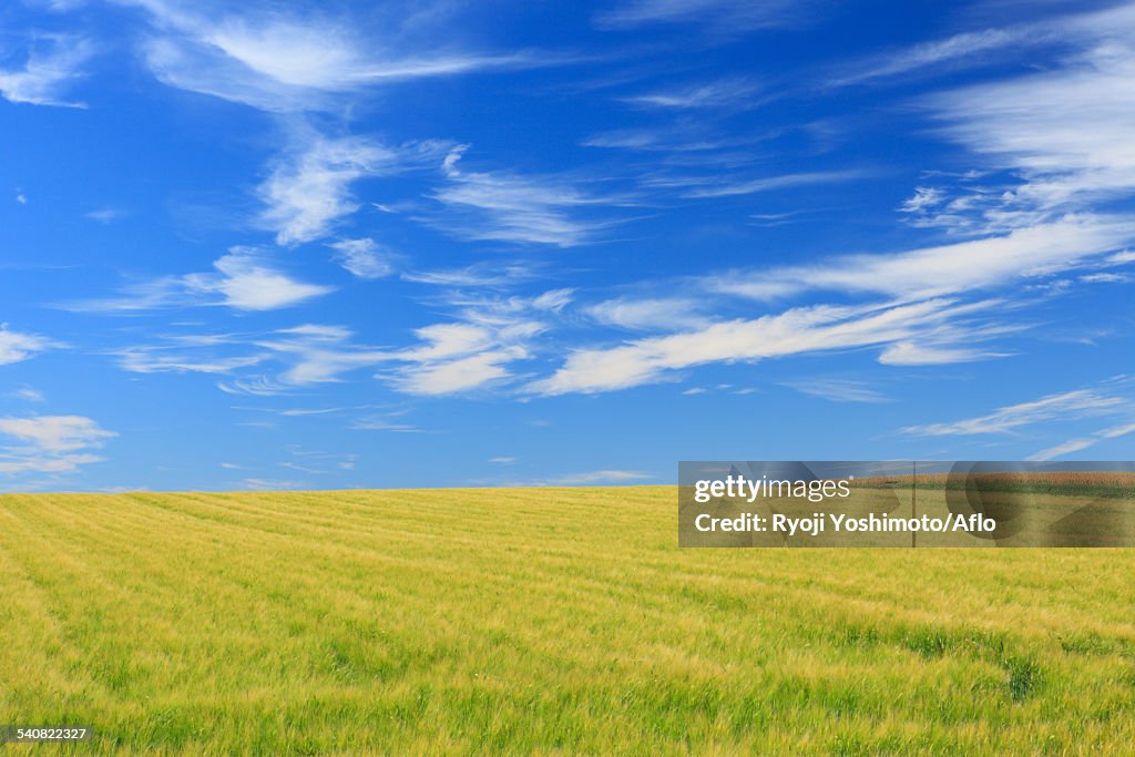 Hokkaido, Japan