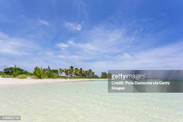 beautiful beach in bahamas, caribbean ocean and idyllic islands in a sunny day - bay leaf stock pictures, royalty-free photos & images