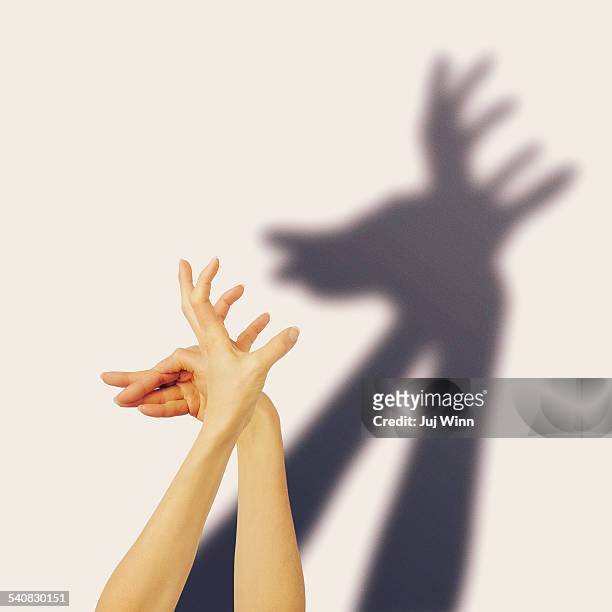 1,192 Hand Shadow Animal Photos and Premium High Res Pictures - Getty Images