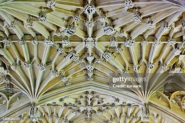 abstract world - seminary stock pictures, royalty-free photos & images