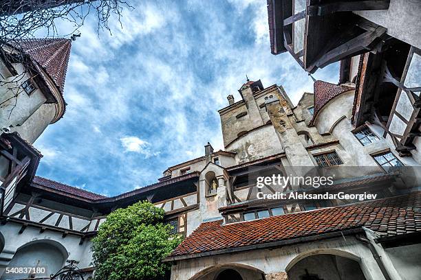 dracula's castle in bran, romania - bran stock pictures, royalty-free photos & images