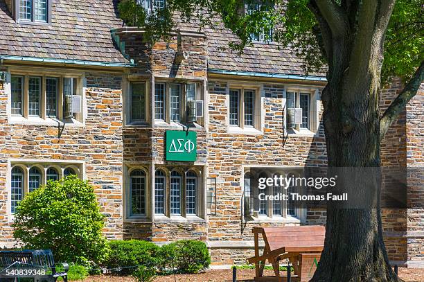 delta sigma theta at duke university - college sorority stock pictures, royalty-free photos & images