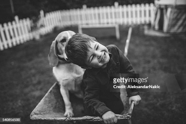 friends for life - black and white dog stock pictures, royalty-free photos & images
