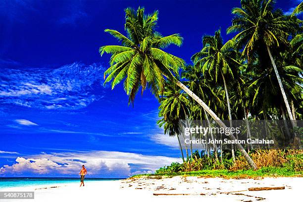 surfer in the mentawai islands - indonesia sumatra mentawai stock pictures, royalty-free photos & images