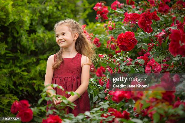 girl in red dress in rose garden - roseto foto e immagini stock