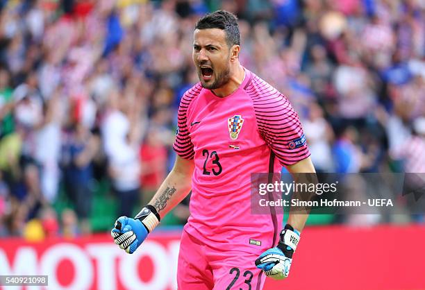 Danijel Subasic of Croatia celebrates after his team scored to make it 1-0 during the UEFA EURO 2016 Group D match between Czech Republic and Croatia...