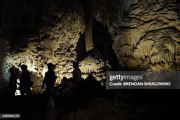 Members of a Secret Service counter assault team walk ahead of US President Barack Obama and the first family as they tour Carlsbad Caverns National...