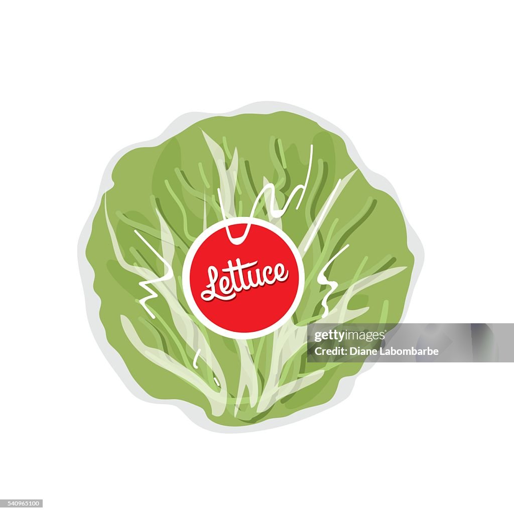 Head Of Lettuce Wrapped In Clear Plastic Film