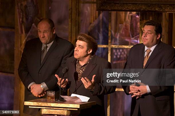 American musician and occasional actor Steven Van Zandt speaks during the Rock and Roll Hall of Fame Induction Ceremoy at the Waldorf Astoria, New...