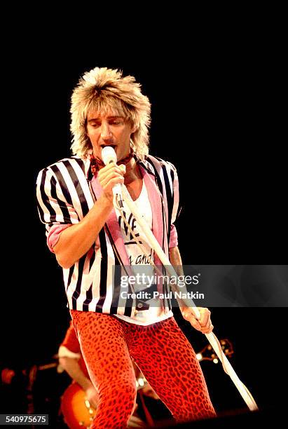 British singer Rod Stewart performs onstage at the Rosemont Horizon, Rosemont, Illinois, January 12, 1982.