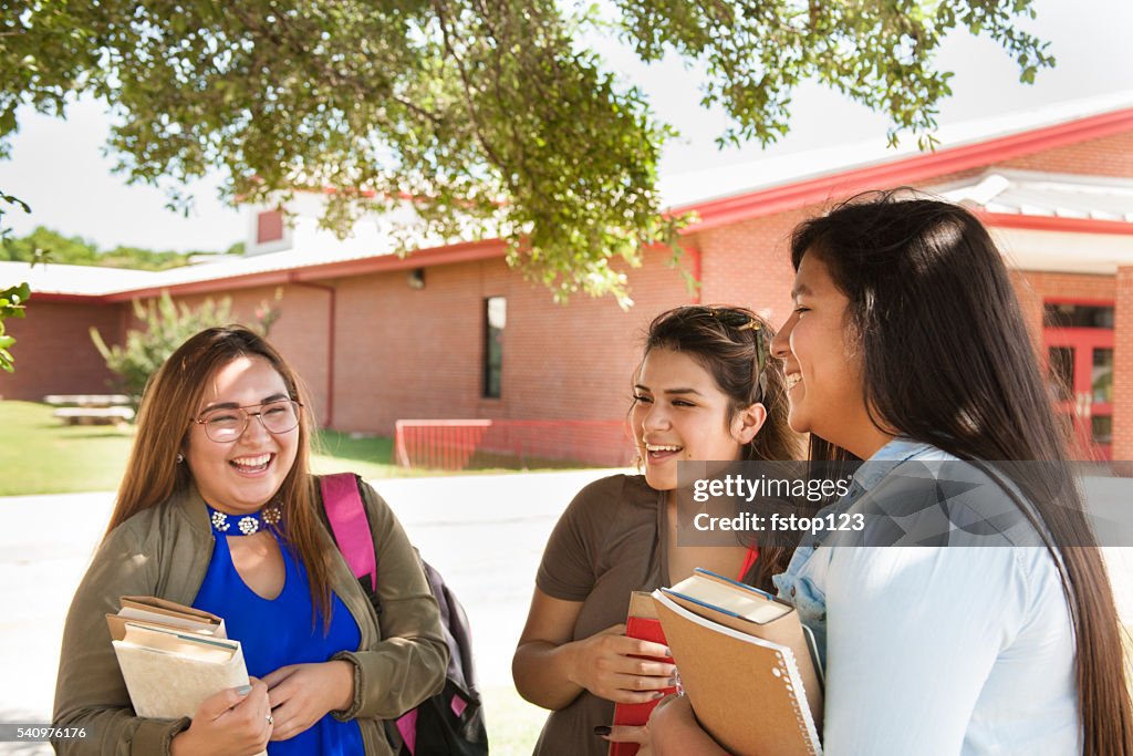 Multi-etnico Gruppo di Scuola o università ragazze parlando. Città universitaria.